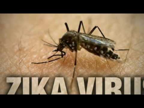 Zika virus