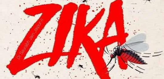 Zika virus spreads in the form of epidemic in Jaipur dainikreporters