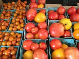 Tomato prices increase on the common man