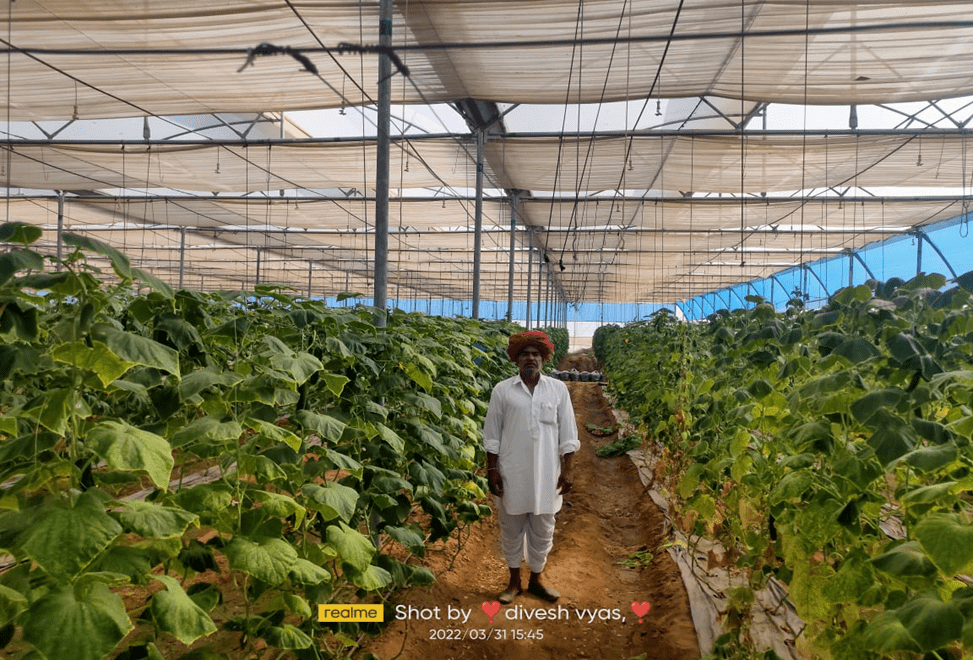 Drip irrigation, solar energy and protected farming in Tonk became the means of increasing the income of the farmers,