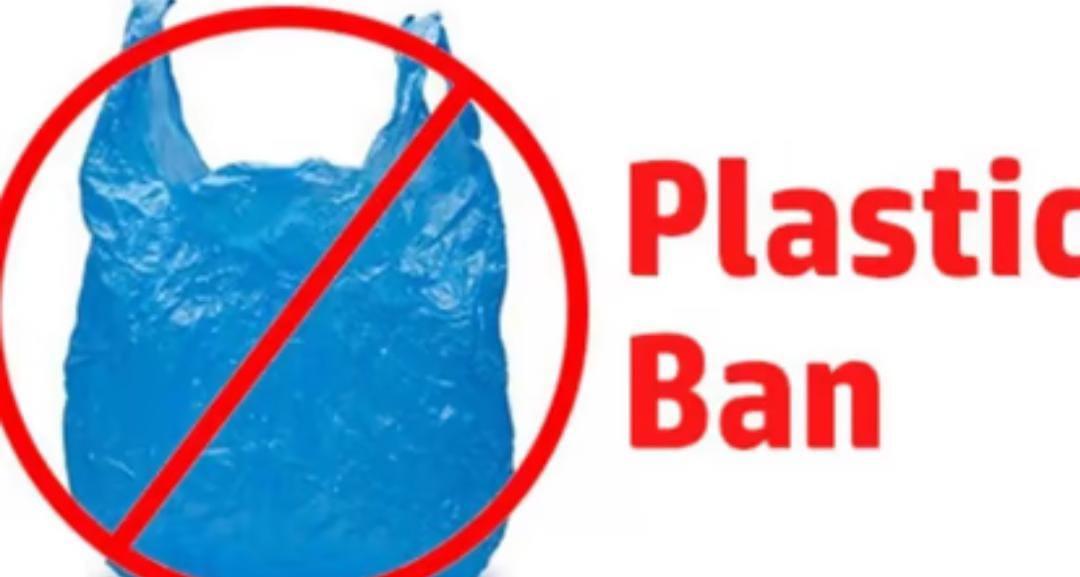 Plastic bags, cups, glasses, thermocol items will be banned in Rajasthan from July 1