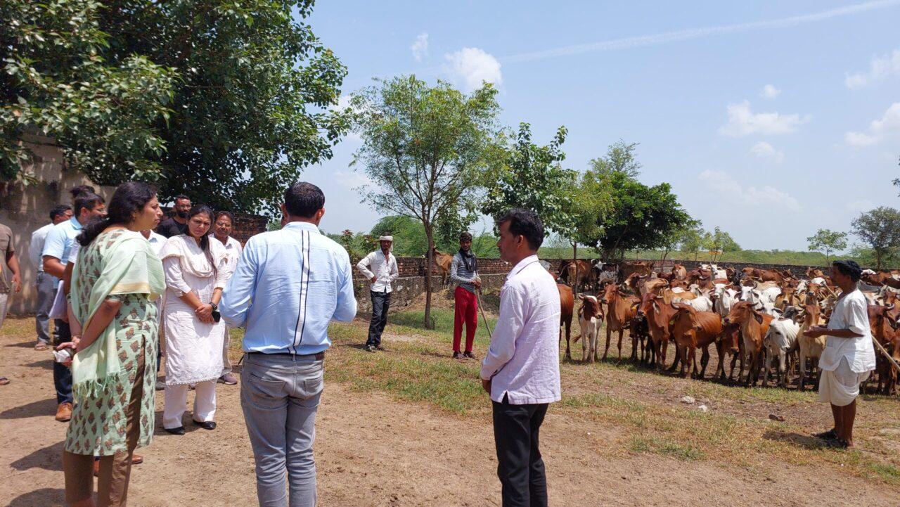 Tonk District Collector Chinmayi Gopal took stock of the efforts to prevent and prevent lumpy skin disease in Malpura and Todarai Singh.