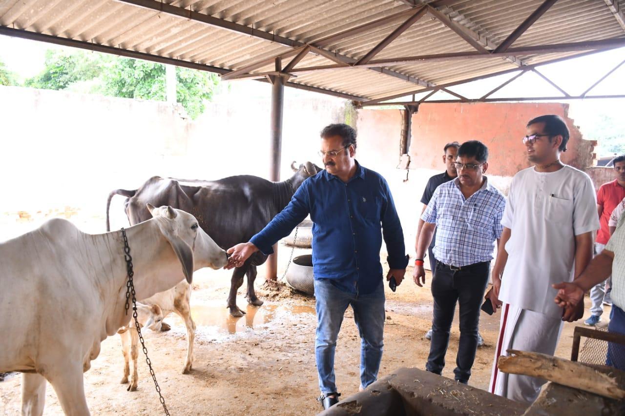Minister Khachariyawas, who came to take stock of Hingonia Gaushala after lumpy disease in animals, said – no shortage will be allowed in treatment