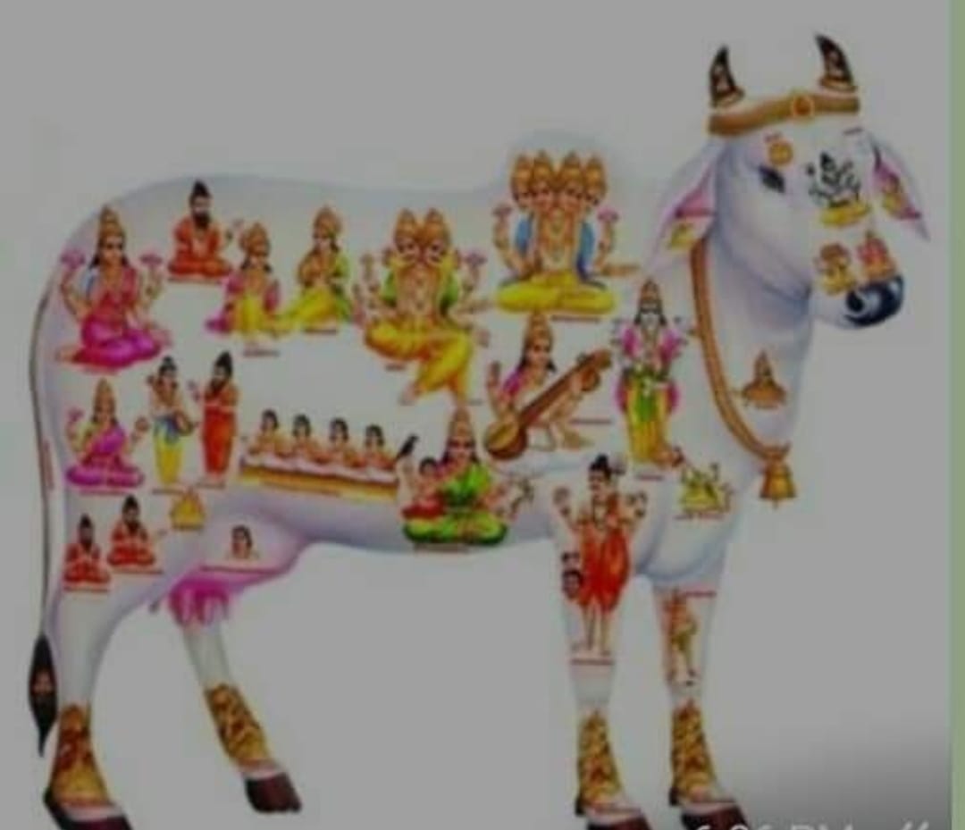 Gopashtami today, importance, method of worship, story