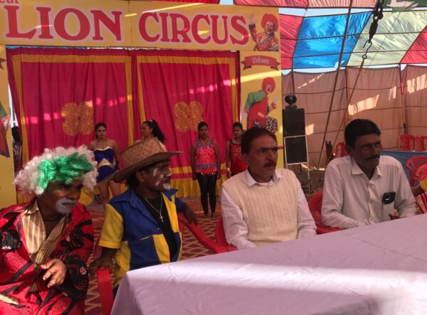 Great Lion Circus opens with amazing English acts, students will get 50% discount
