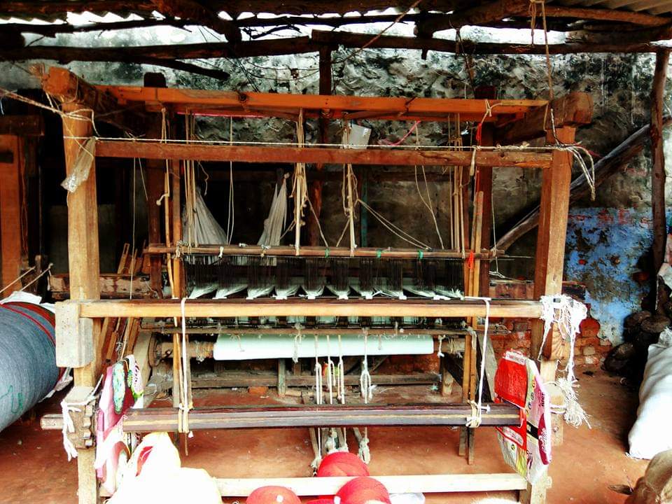 हाथकरघा में तीन वर्षीय डिप्लोमा पाठयक्रम के आवेदन आमंत्रित, कैसे करें पढ़े